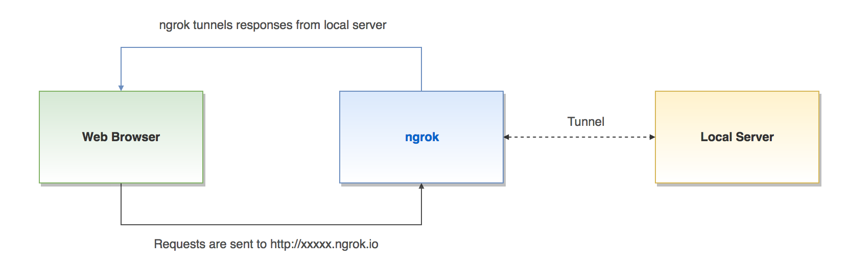 Ngrok Schema