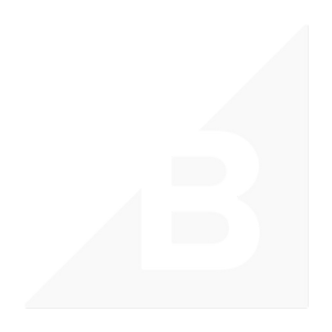 Bigcommerce Icon