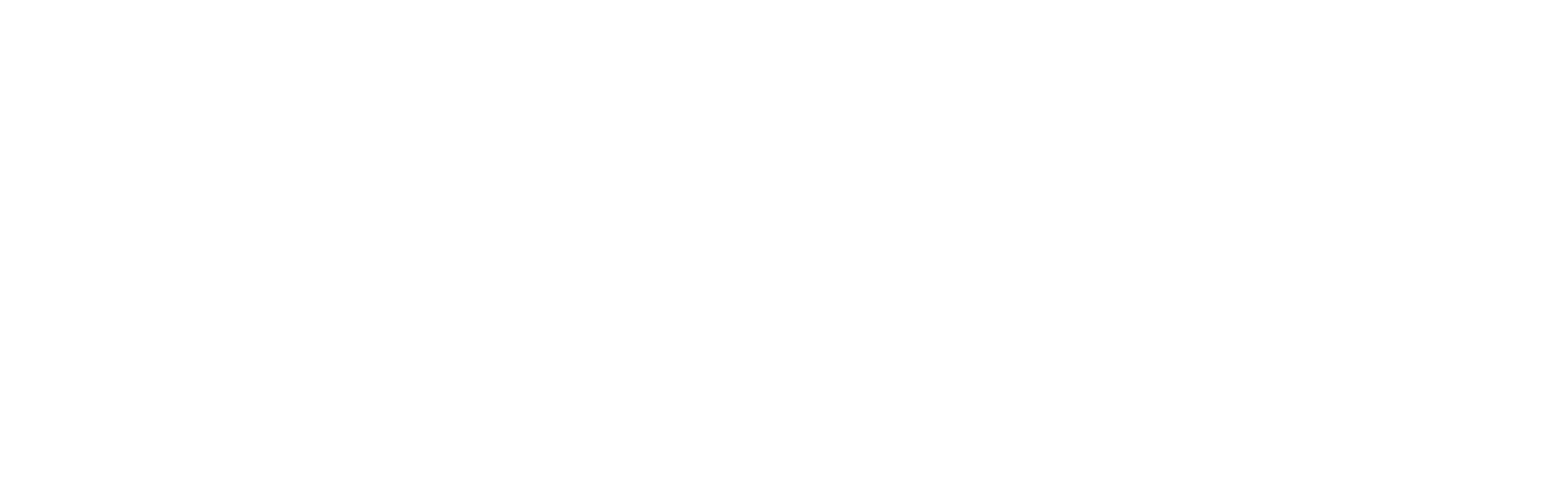 Woocommerce-logo-white